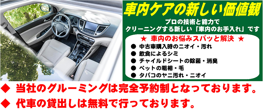 本格車内洗浄グルーミング